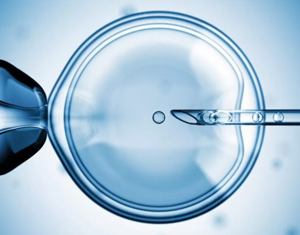 A Man’s Action Plan for Optimising Sperm Health When Preparing for IVF