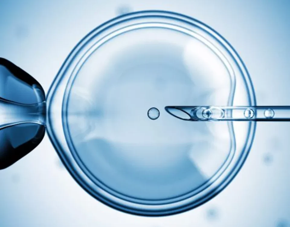 A Man’s Action Plan for Optimising Sperm Health When Preparing for IVF